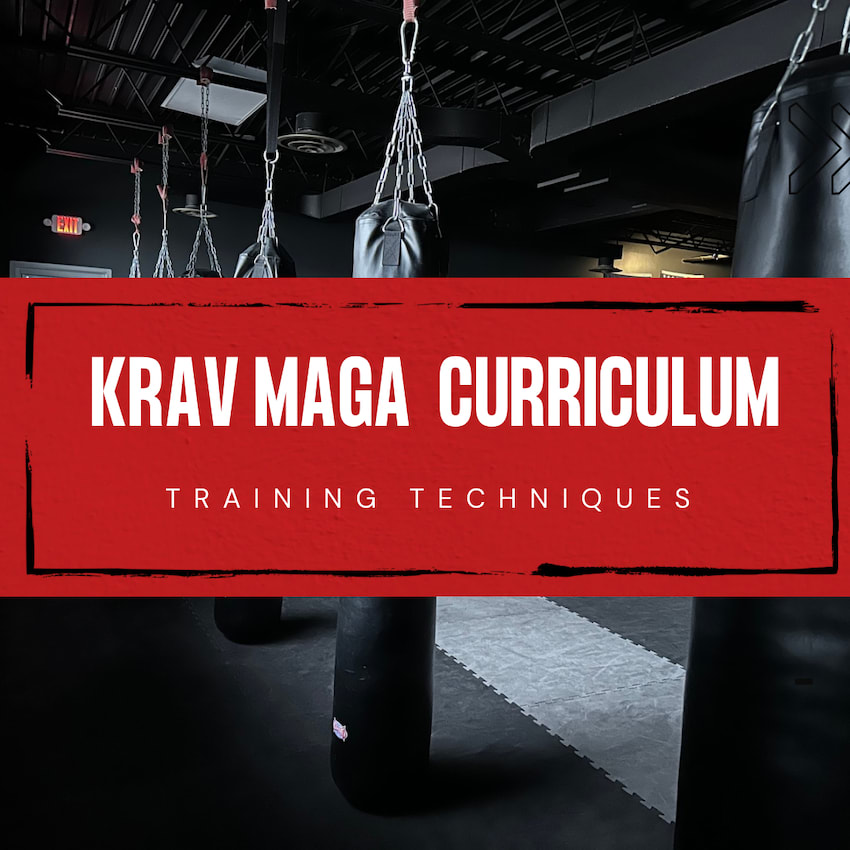 Our Curriculum Krav Maga Detroit