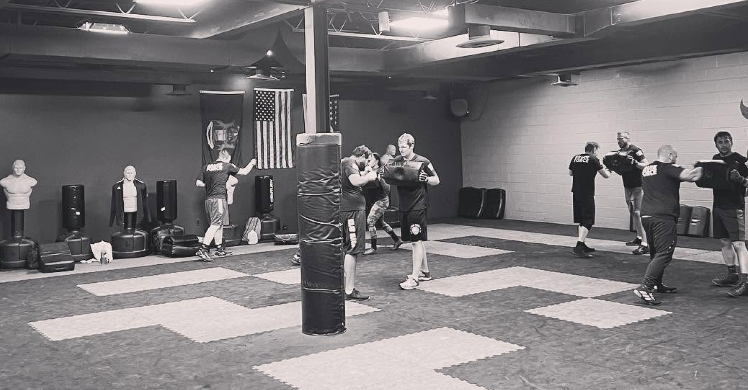 Our Krav Maga Curriculum