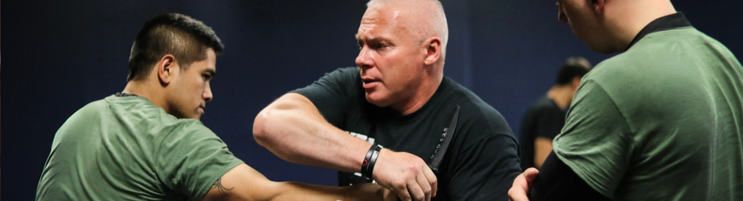 Weapons Defense Classes in Troy, MI